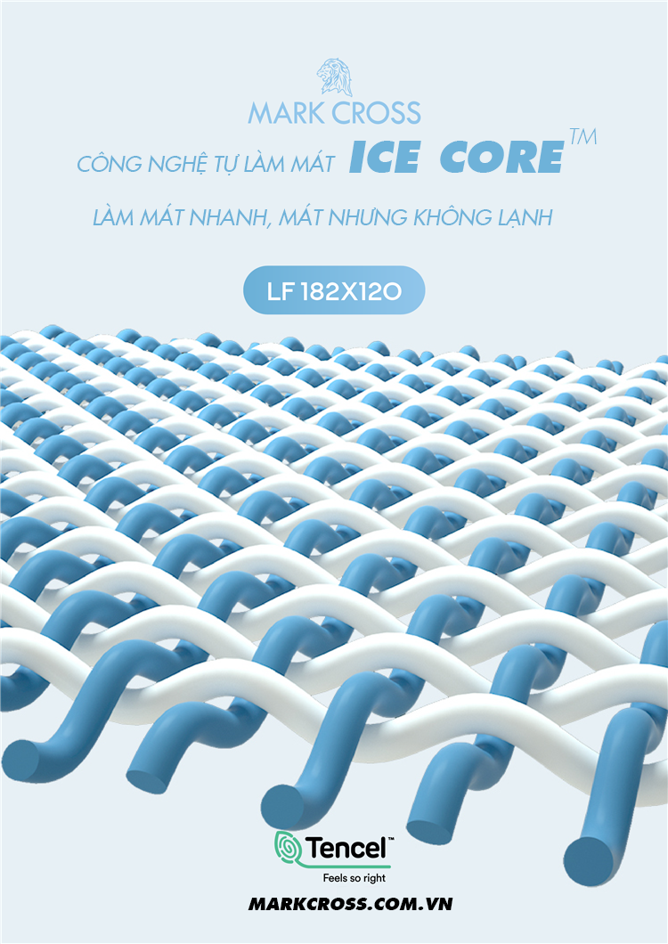 Mark cross Ice Core